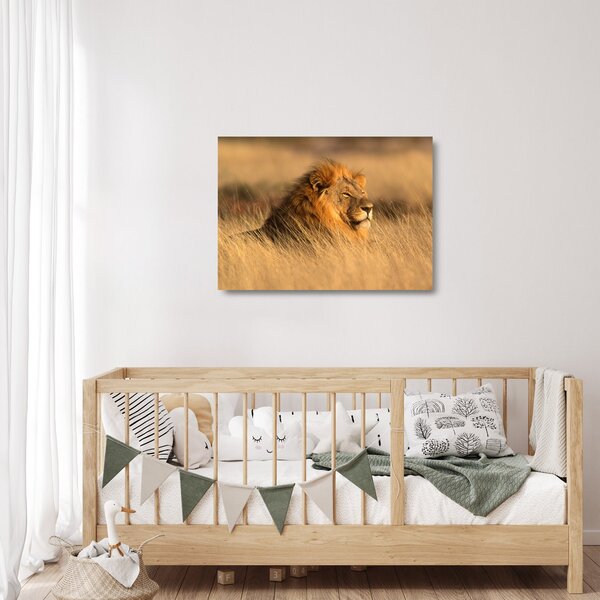 Obraz na szkle - Park Narodowy Etosha (70x50 cm)