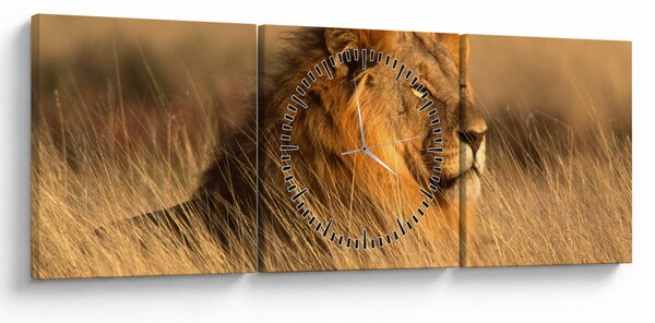 Obraz - Park Narodowy Etosha (z zegarem) (90x30 cm)