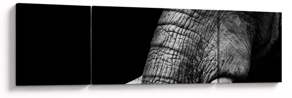 Obraz - Kły słonia (170x50 cm)