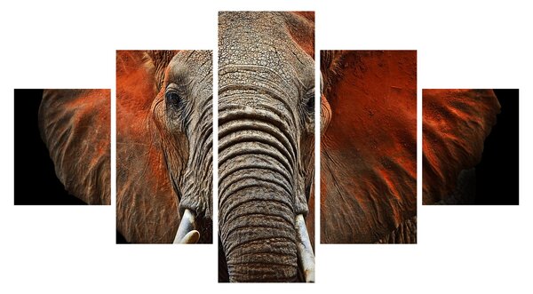Obraz - Słonie z Tsavo (125x70 cm)