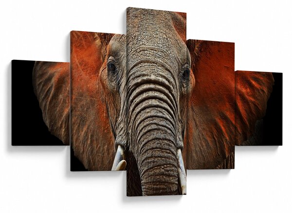 Obraz - Słonie z Tsavo (125x70 cm)