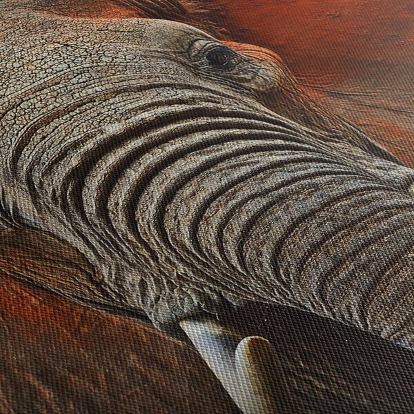 Obraz - Słonie z Tsavo (125x70 cm)