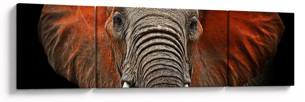 Obraz - Słonie z Tsavo (170x50 cm)
