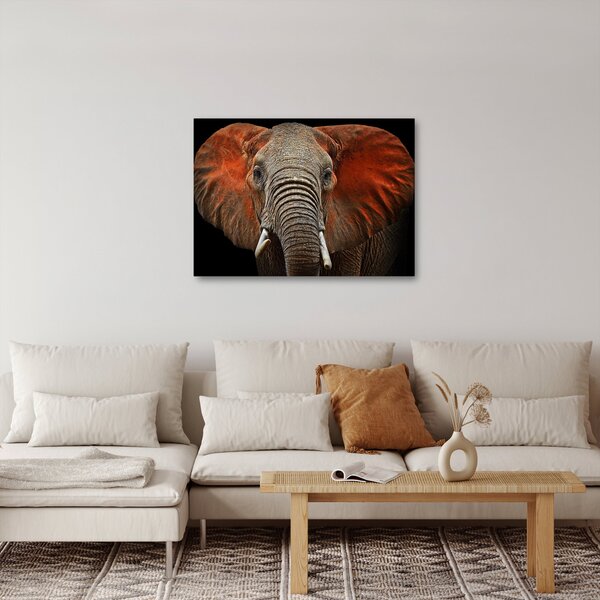 Obraz - Słonie z Tsavo (70x50 cm)
