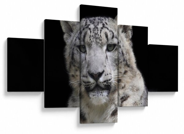 Obraz - Snow Leopard (125x70 cm)