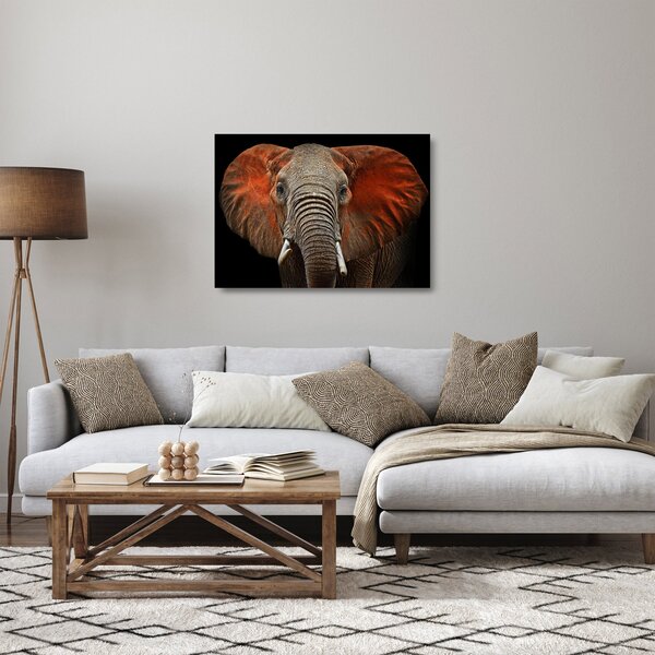 Obraz na szkle - Słonie z Tsavo (70x50 cm)