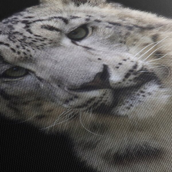 Obraz - Snow Leopard (125x70 cm)