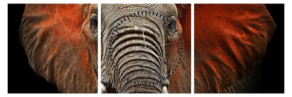 Obraz - Słonie z Tsavo (z zegarem) (90x30 cm)