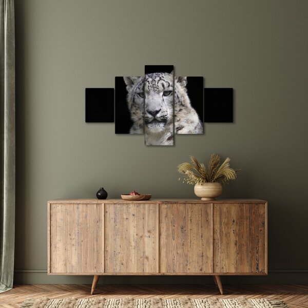 Obraz - Snow Leopard (125x70 cm)