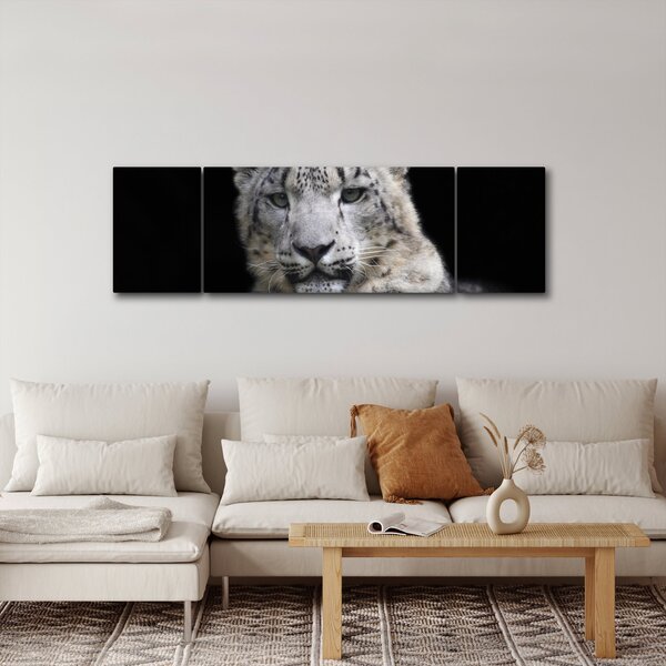 Obraz - Snow Leopard (170x50 cm)