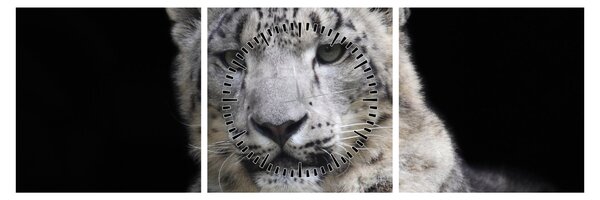 Obraz - Snow Leopard (z zegarem) (90x30 cm)