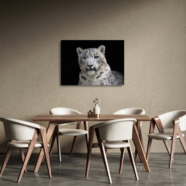 Obraz na szkle - Snow Leopard (70x50 cm)