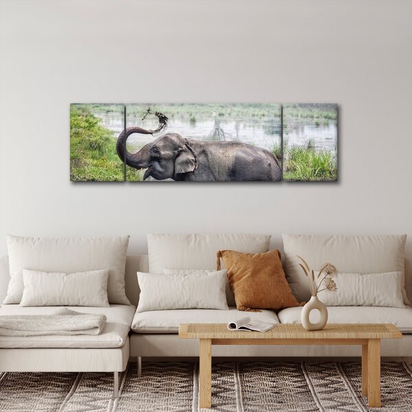 Obraz - Kąpiący się słoń (170x50 cm)