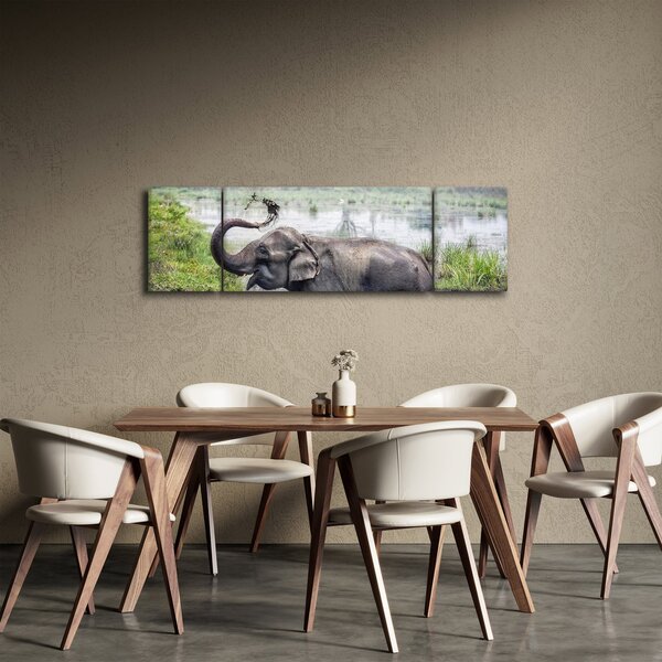 Obraz - Kąpiący się słoń (170x50 cm)