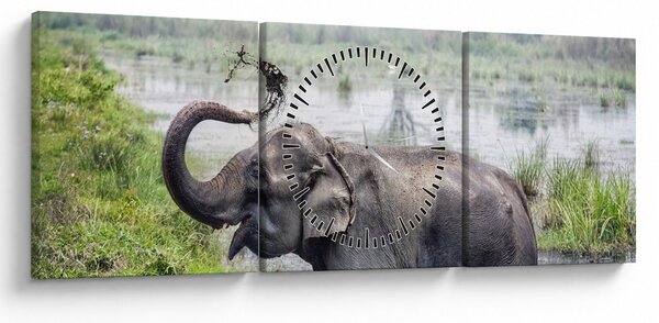 Obraz - Kąpiący się słoń (z zegarem) (90x30 cm)