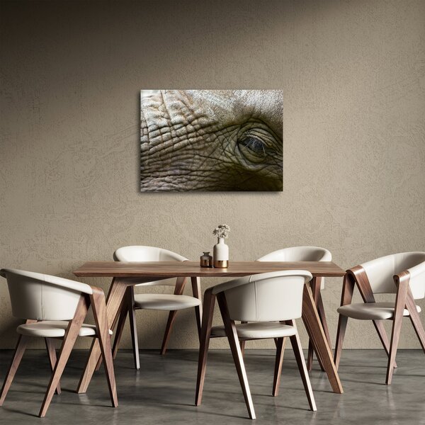 Obraz - Zbliżenie na stare oko słonia (70x50 cm)