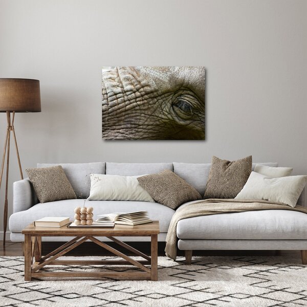 Obraz - Zbliżenie na stare oko słonia (70x50 cm)