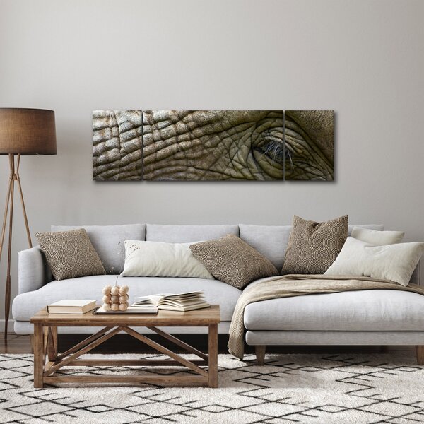 Obraz - Zbliżenie na stare oko słonia (170x50 cm)