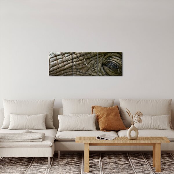 Obraz - Zbliżenie na stare oko słonia (z zegarem) (90x30 cm)