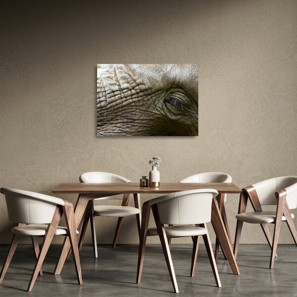 Obraz na szkle - Zbliżenie na stare oko słonia (70x50 cm)