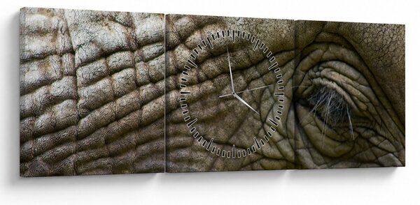 Obraz - Zbliżenie na stare oko słonia (z zegarem) (90x30 cm)