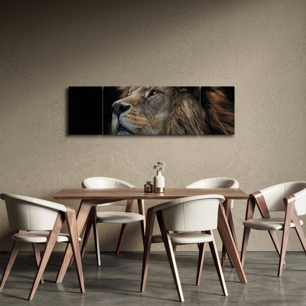 Obraz - Majestatyczny lew (170x50 cm)