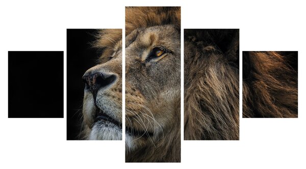 Obraz - Majestatyczny lew (125x70 cm)