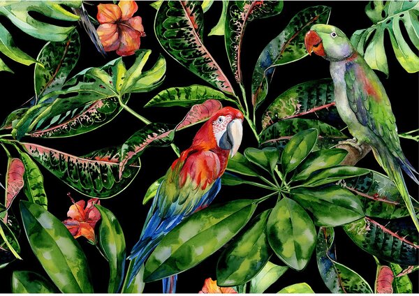 Obraz na płótnie Tropical Birds