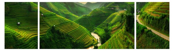 Obraz - Tarasy ryżowe Mu Cang Chai (170x50 cm)