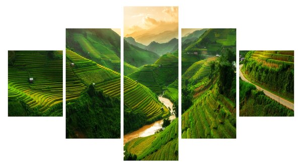 Obraz - Tarasy ryżowe Mu Cang Chai (125x70 cm)