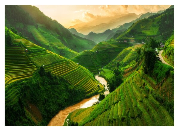 Obraz - Tarasy ryżowe Mu Cang Chai (70x50 cm)