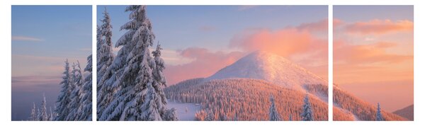 Obraz - Zimowy krajobraz (170x50 cm)