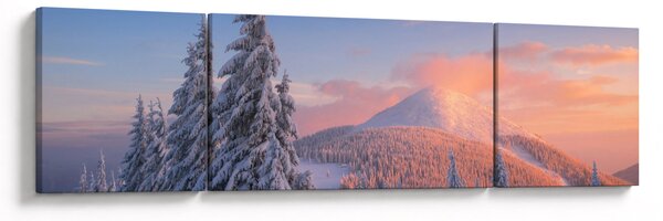 Obraz - Zimowy krajobraz (170x50 cm)