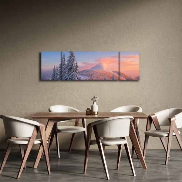 Obraz - Zimowy krajobraz (170x50 cm)