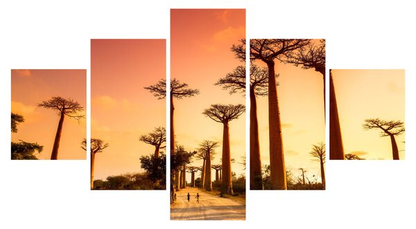 Obraz - Zachód słońca w Baobab Alley (125x70 cm)