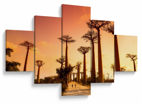 Obraz - Zachód słońca w Baobab Alley (125x70 cm)