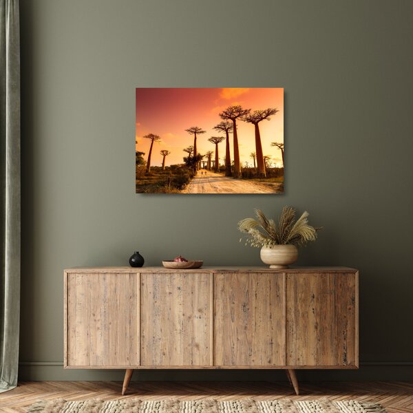 Obraz na szkle - Zachód słońca w Baobab Alley (70x50 cm)
