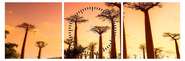Obraz - Zachód słońca w Baobab Alley (z zegarem) (90x30 cm)