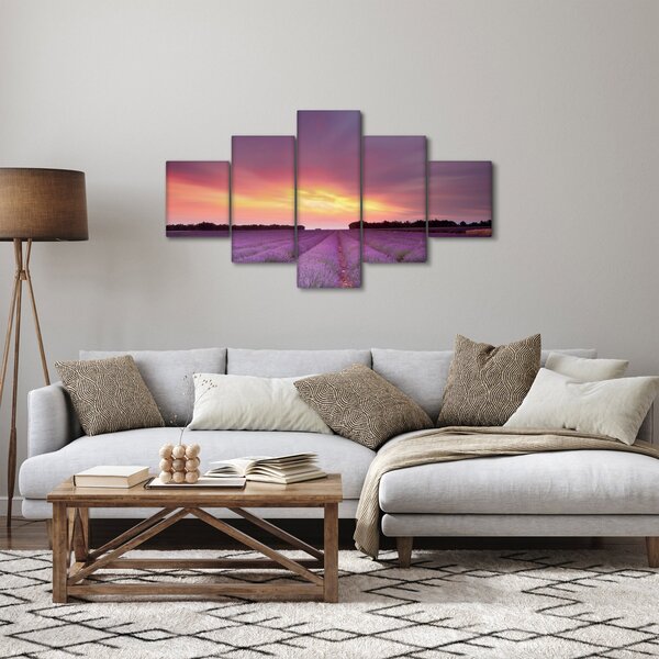 Obraz - Pole lawendy (125x70 cm)
