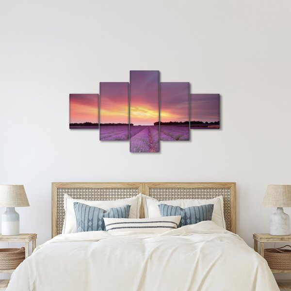 Obraz - Pole lawendy (125x70 cm)