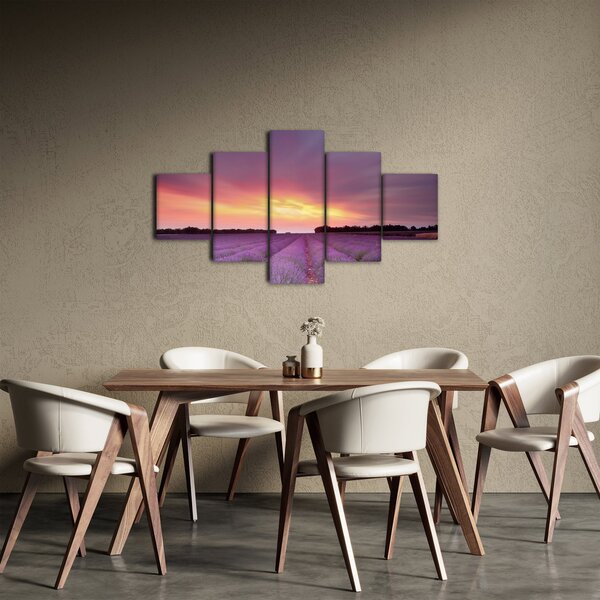 Obraz - Pole lawendy (125x70 cm)