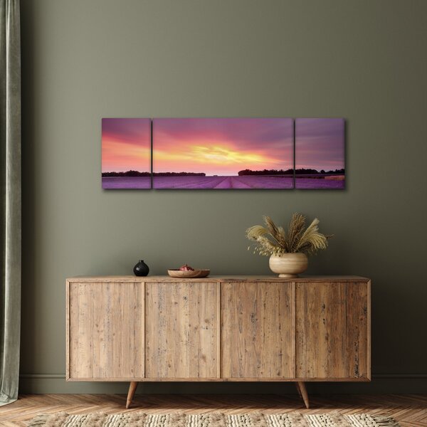 Obraz - Pole lawendy (170x50 cm)