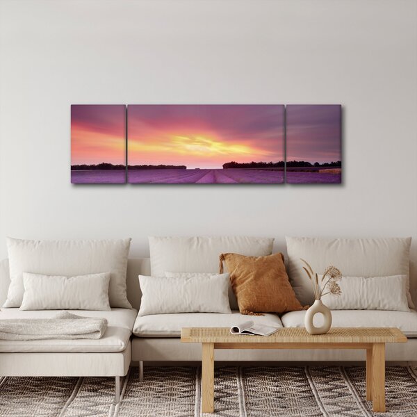 Obraz - Pole lawendy (170x50 cm)