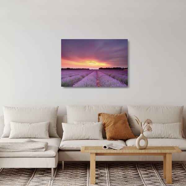 Obraz na szkle - Pole lawendy (70x50 cm)
