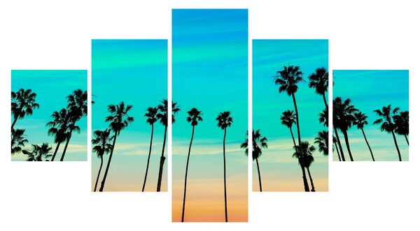 Obraz - Kalifornia (125x70 cm)