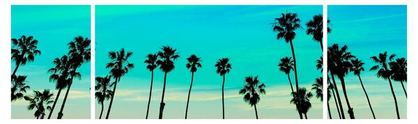Obraz - Kalifornia (170x50 cm)