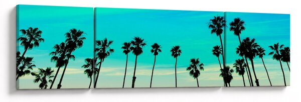 Obraz - Kalifornia (170x50 cm)