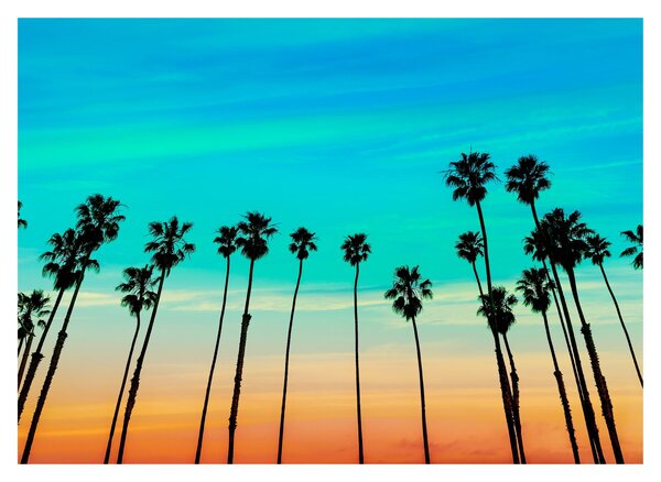 Obraz - Kalifornia (70x50 cm)