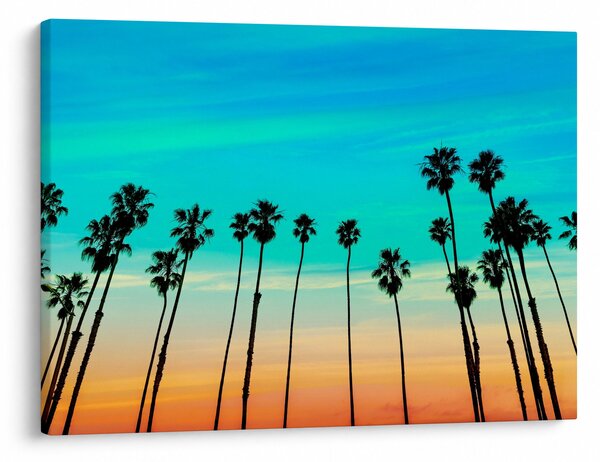 Obraz - Kalifornia (70x50 cm)