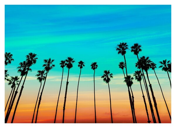 Obraz na szkle - Kalifornia (70x50 cm)